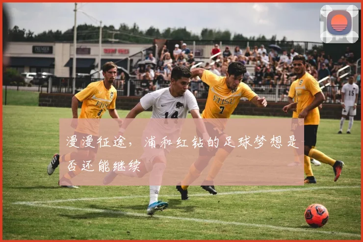 漫漫征途，浦和红钻的足球梦想是否还能继续