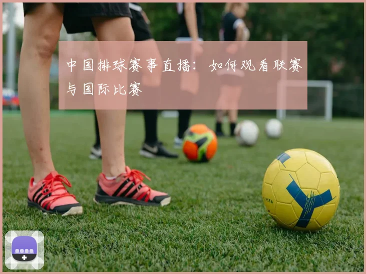 中国排球赛事直播:如何观看联赛与国际比赛