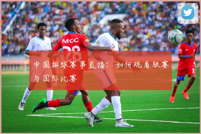 中国排球赛事直播:如何观看联赛与国际比赛